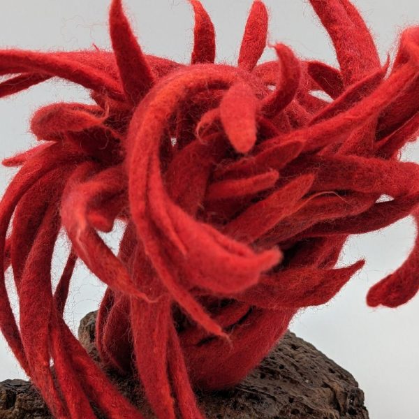 Le Pantographe Vosges - Mobilier et décoration Haut de gamme - Récif corallien - Yasmina BENESSALAH